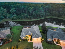 Aerial (4)