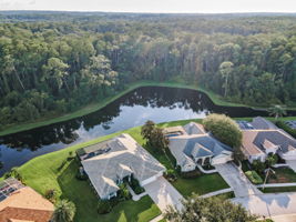 Aerial (13)