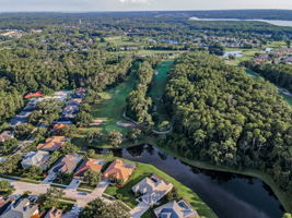Aerial (17)