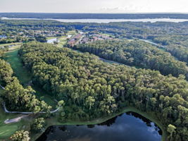 Aerial (18)