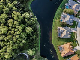 Aerial (19)