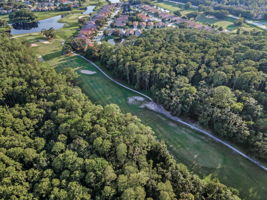 Aerial (22)