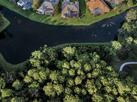 Aerial (28)