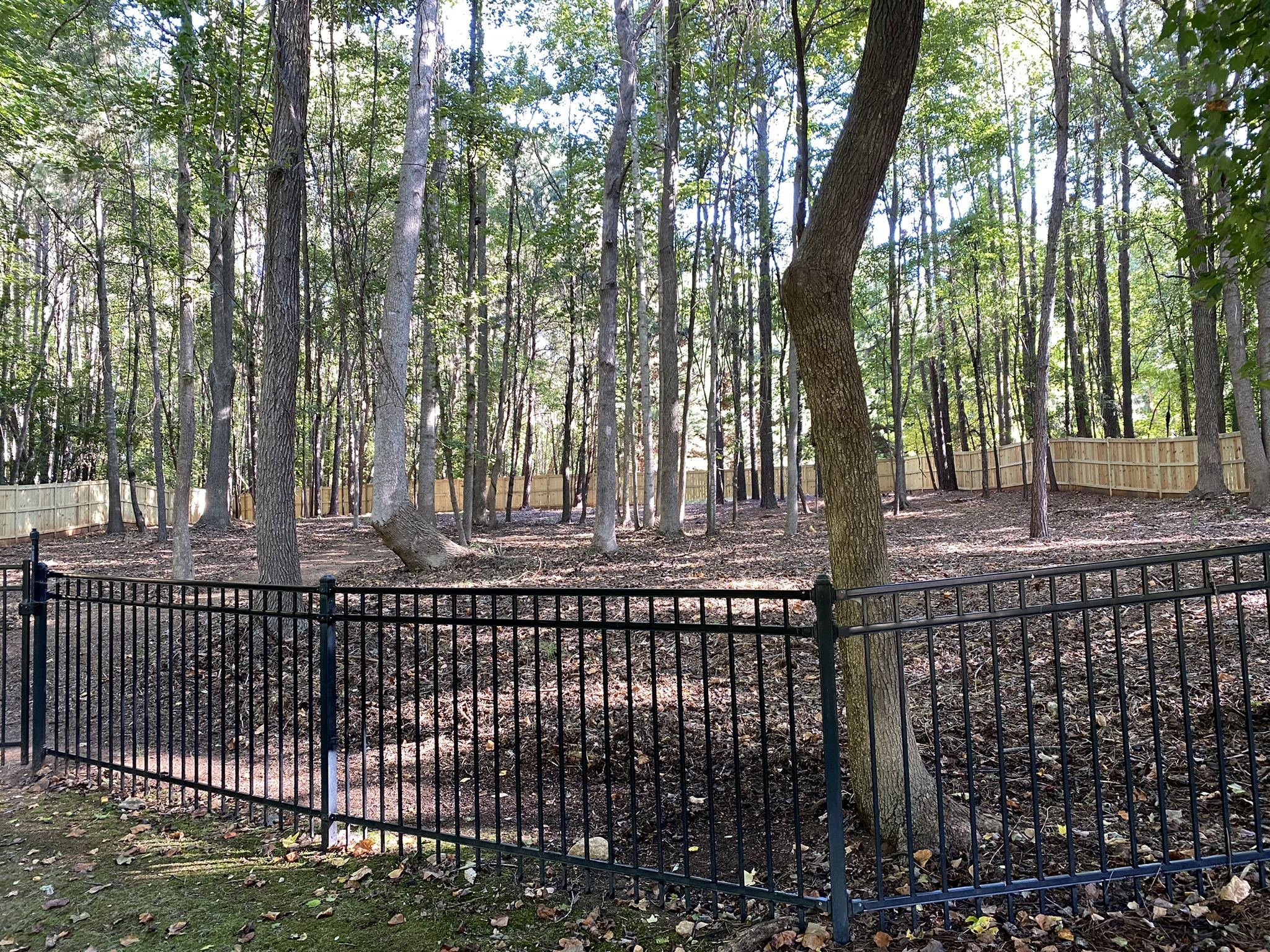 4626 Water Oak Dr Photo 56