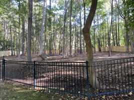 4626 Water Oak Dr Photo 55