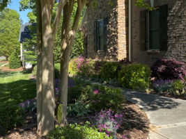 4626 Water Oak Dr Photo 4