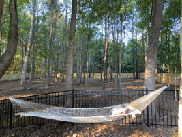 4626 Water Oak Dr Photo 56