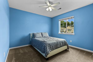  Photo 47