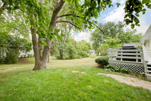 24 Back Yard