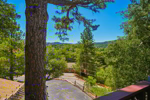 Delle Dr-S0107-028.jpg