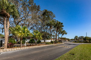 6-Orange Blossom Ranch