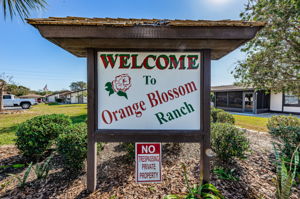 8-Orange Blossom Ranch