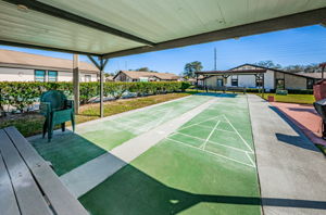 16-Shuffleboard