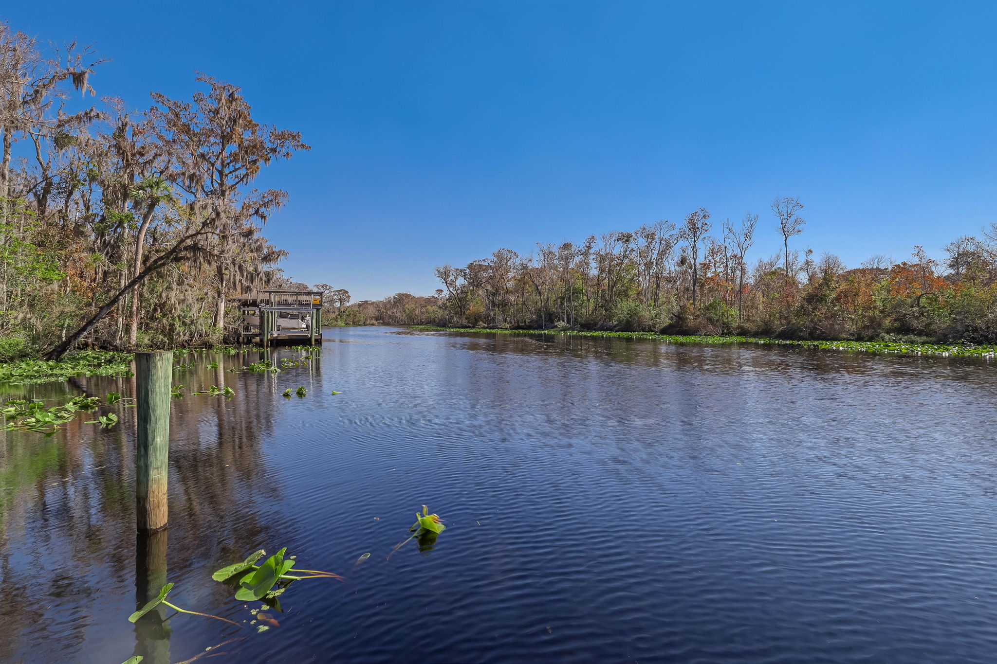 River View