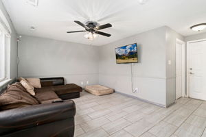 Lower Level - Living Room