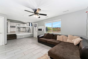 Lower Level - Living Room