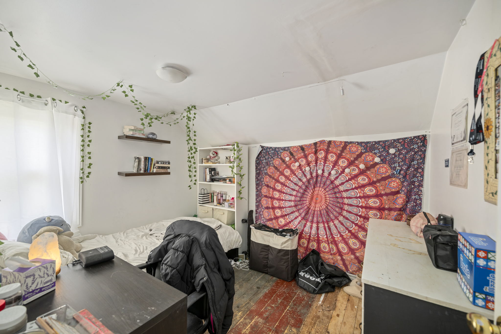  Photo 27