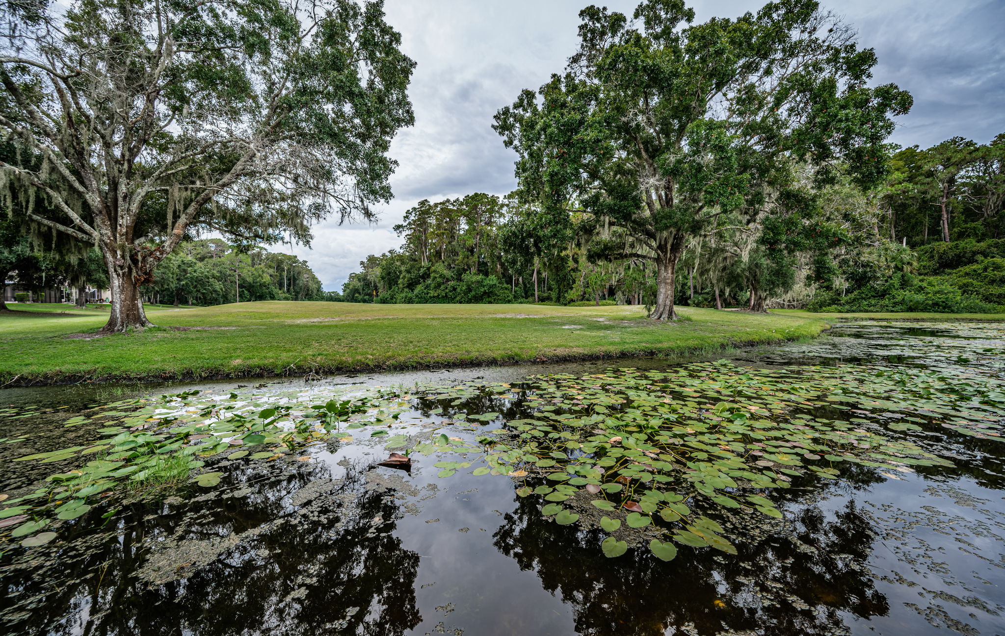 Backyard Water View1