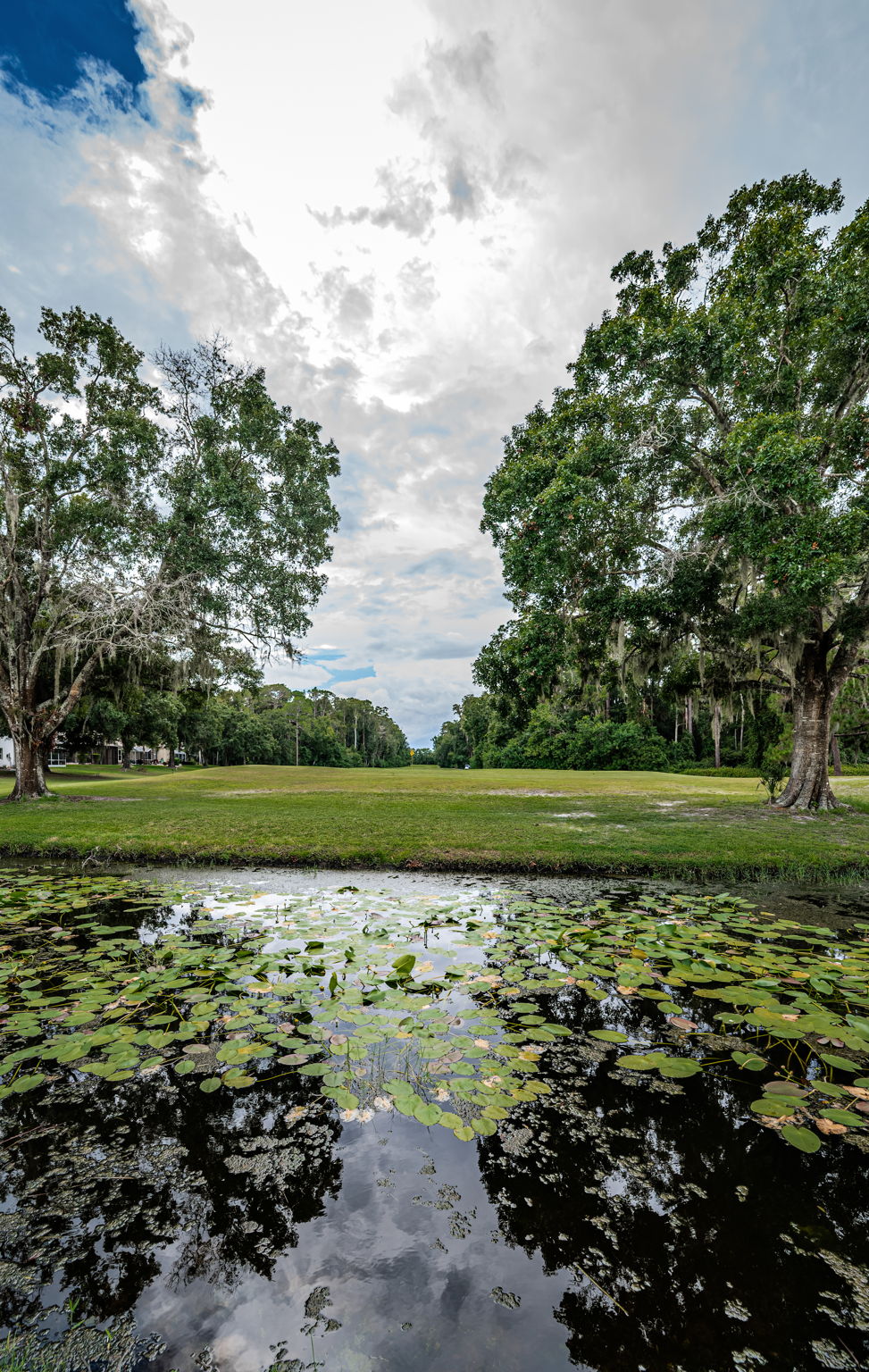 Backyard Water View2