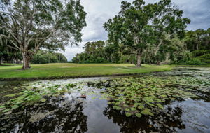 Backyard Water View1