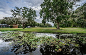 Backyard Water View3