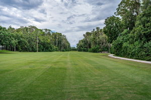 Golf Course3