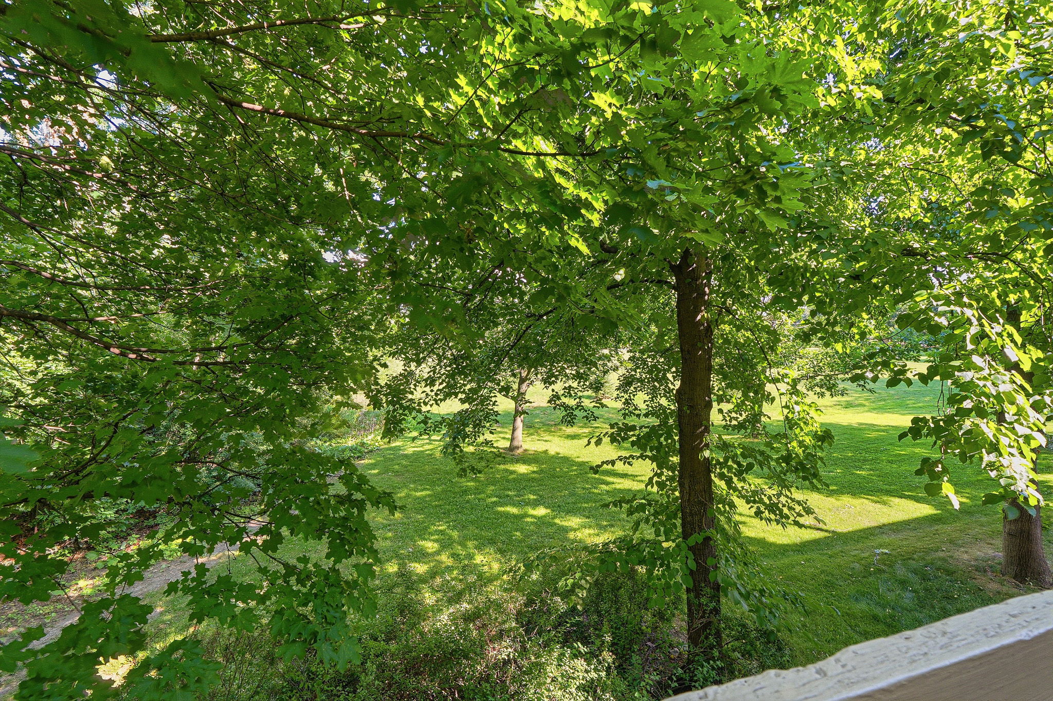  Photo 24