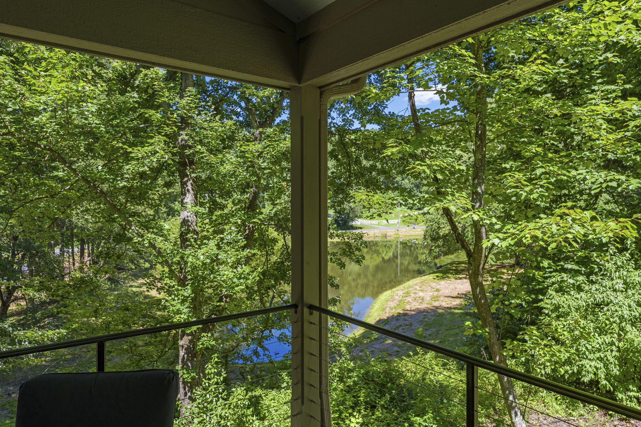 Pond view from the cottage