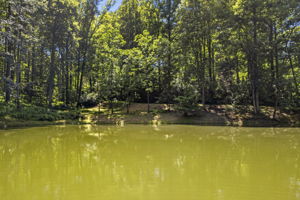 2 spring fed ponds