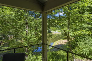 Pond view from the cottage