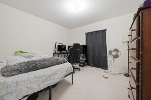  Photo 35