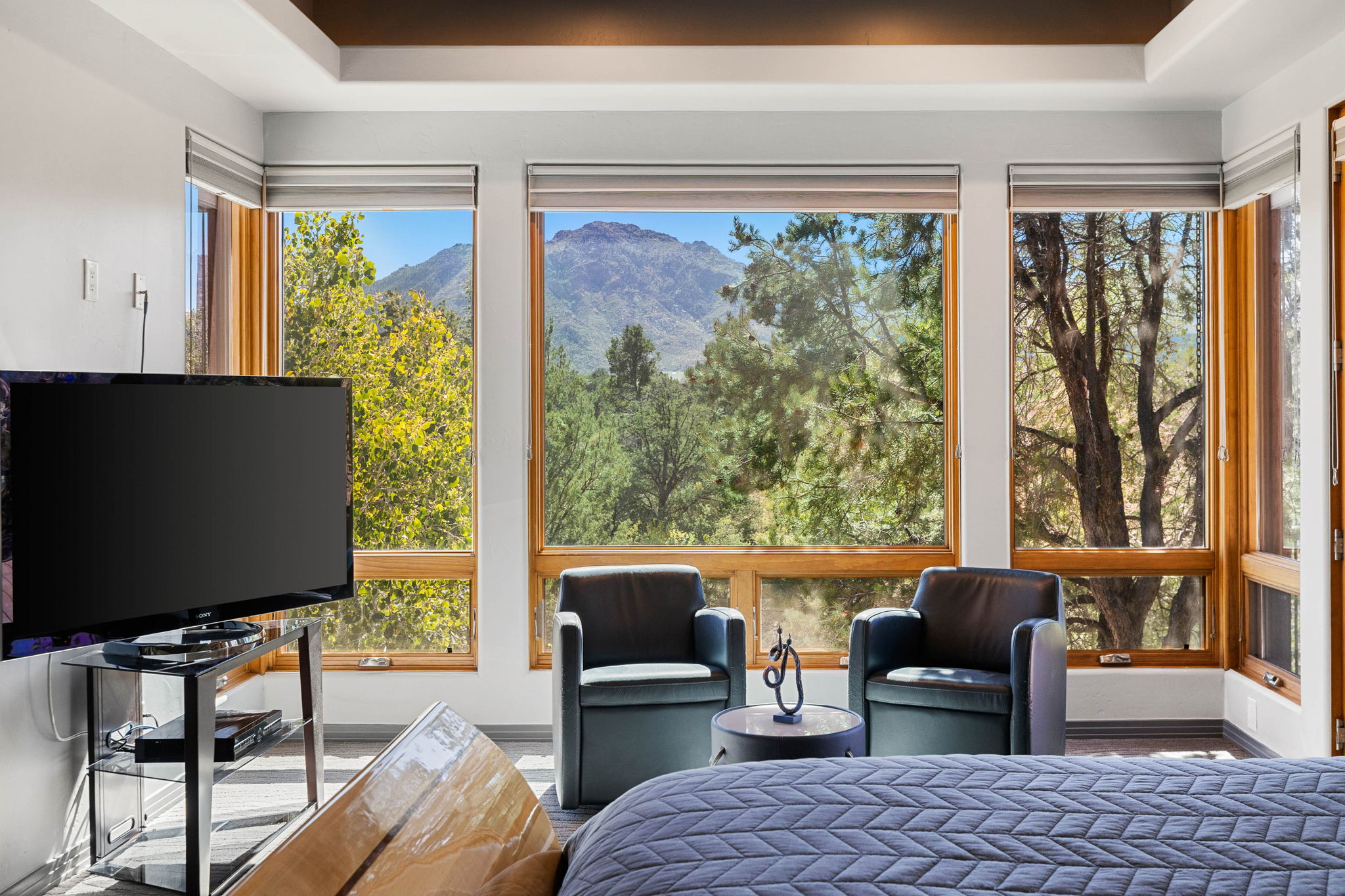 Primary Bedroom View