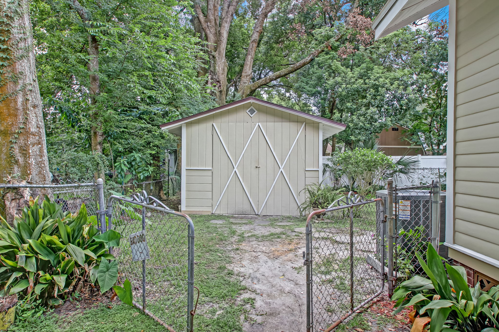To Back Yard