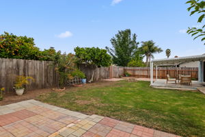18-Back Yard