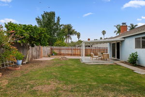 19-Back Yard