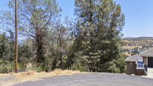  Photo 0