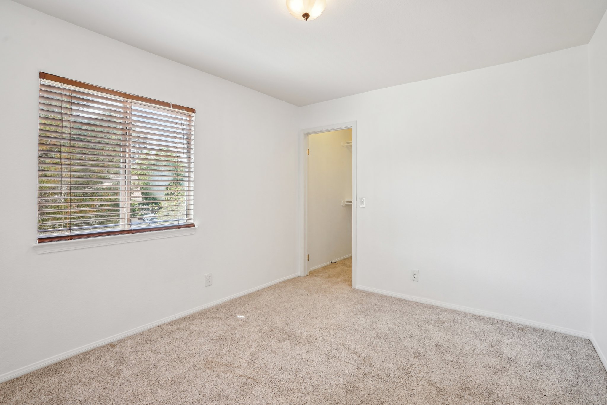 Starstone Ct-2804-028.jpg