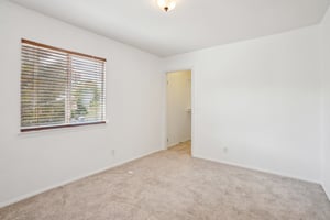 Starstone Ct-2804-028.jpg