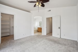 Starstone Ct-2804-031.jpg
