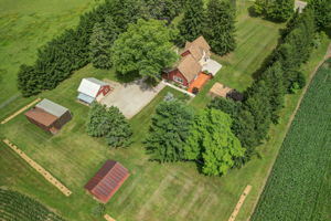  Photo 43