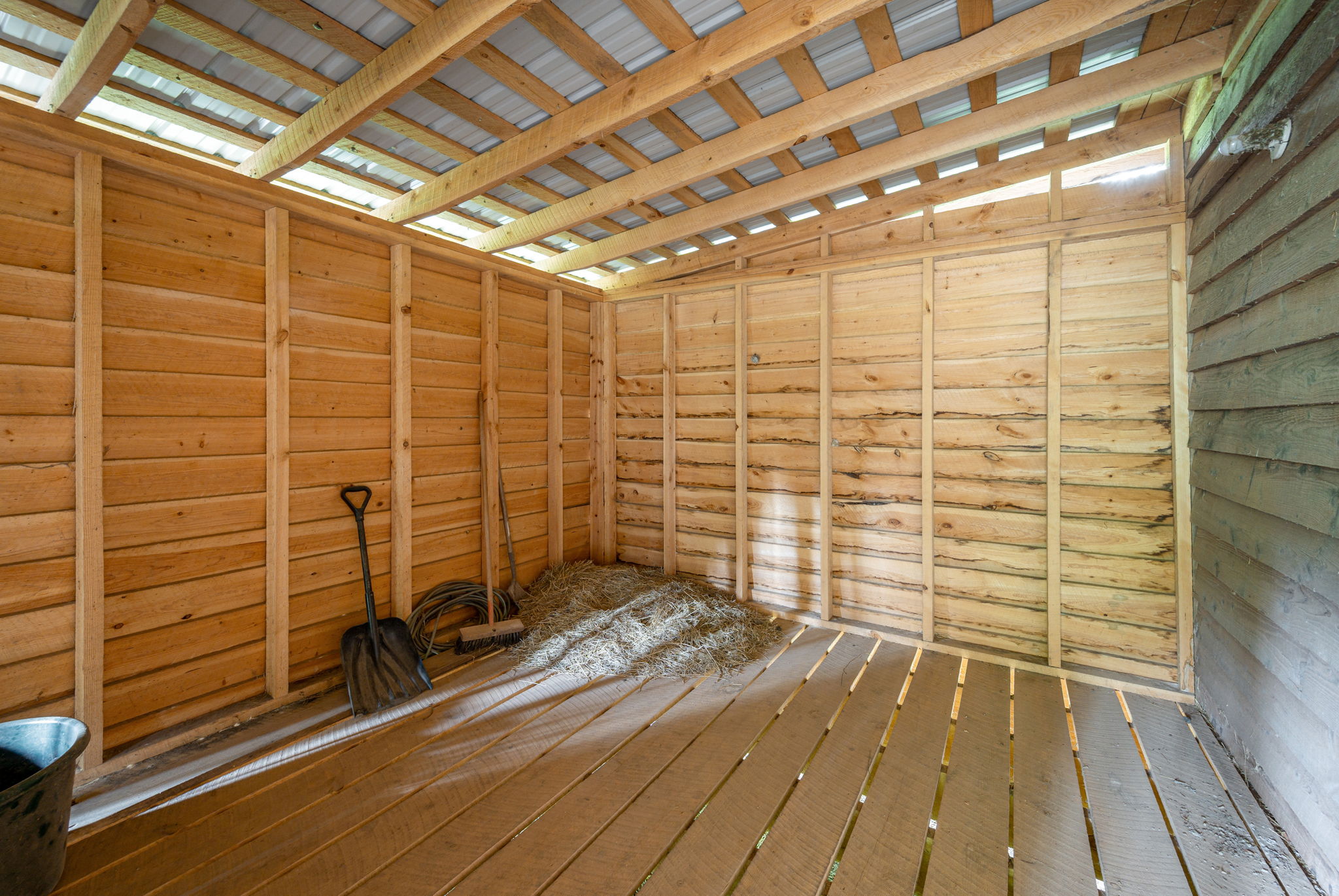  Photo 43