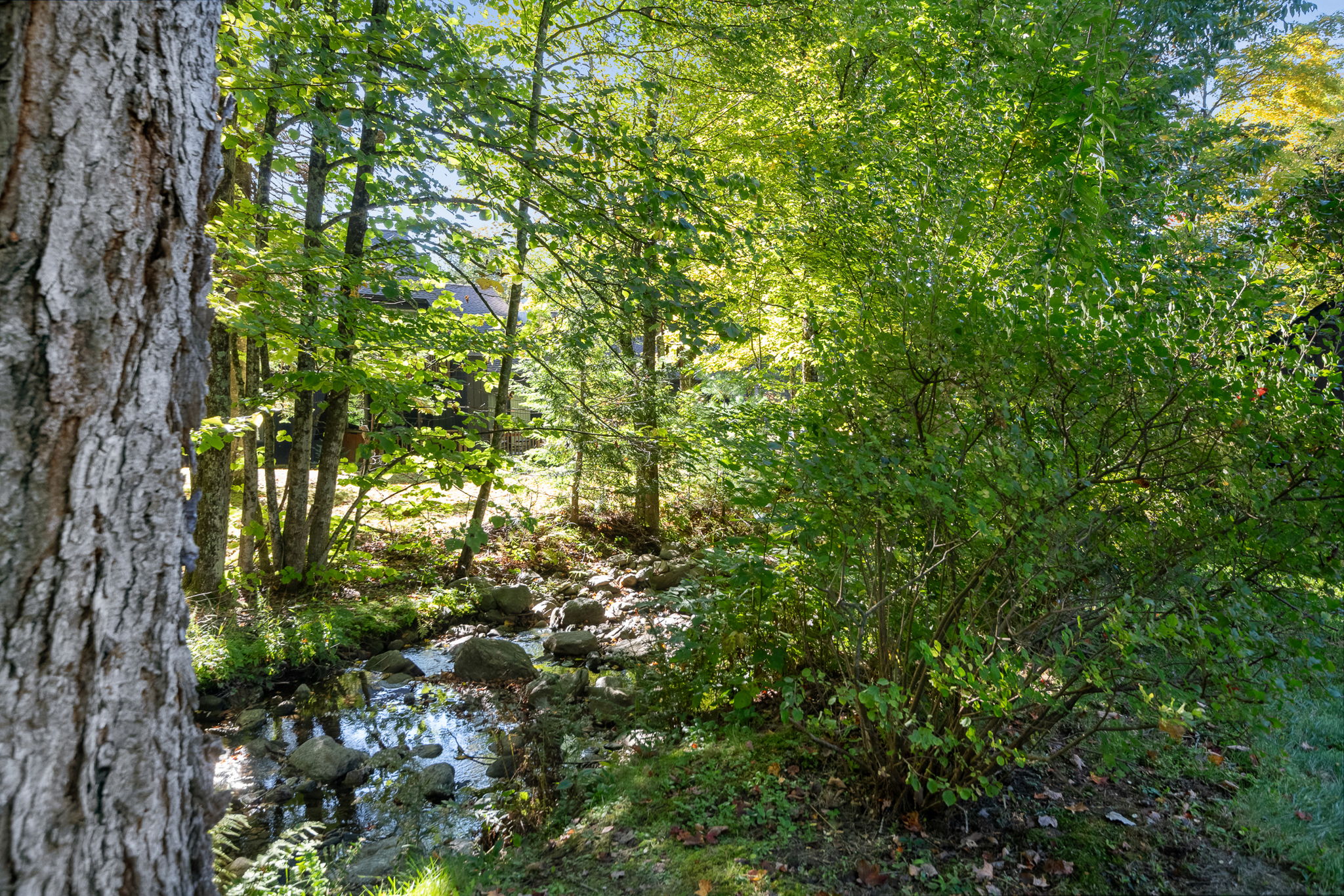  Photo 45