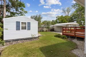 Backyard