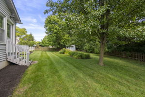  Photo 41