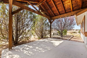 Back Patio (4)