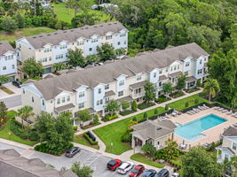Bird View