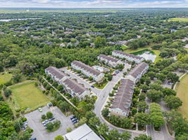 Bird View