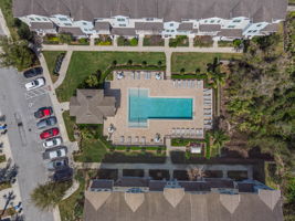 Bird View