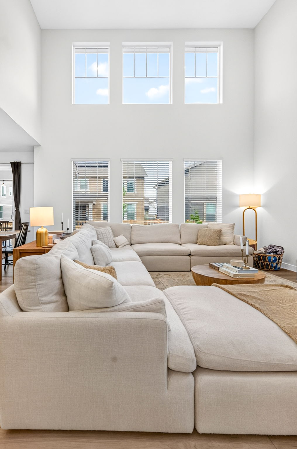 Interior LR Windows