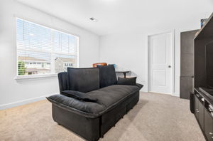 Interior Media Room